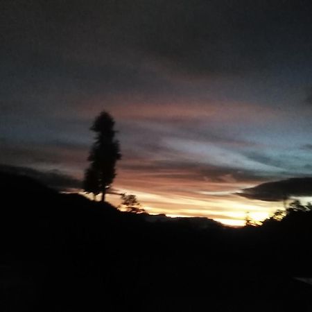 Forest Cyniciam Homestay Ohiya Ruang foto