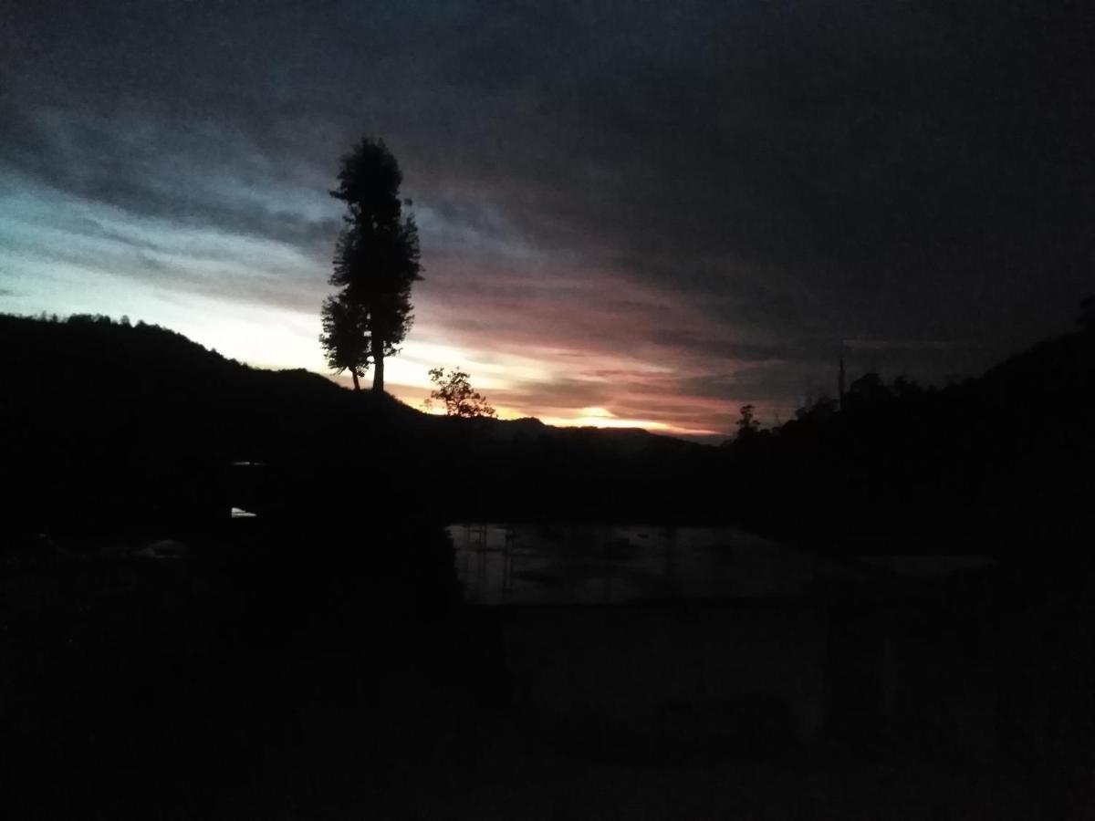 Forest Cyniciam Homestay Ohiya Bagian luar foto