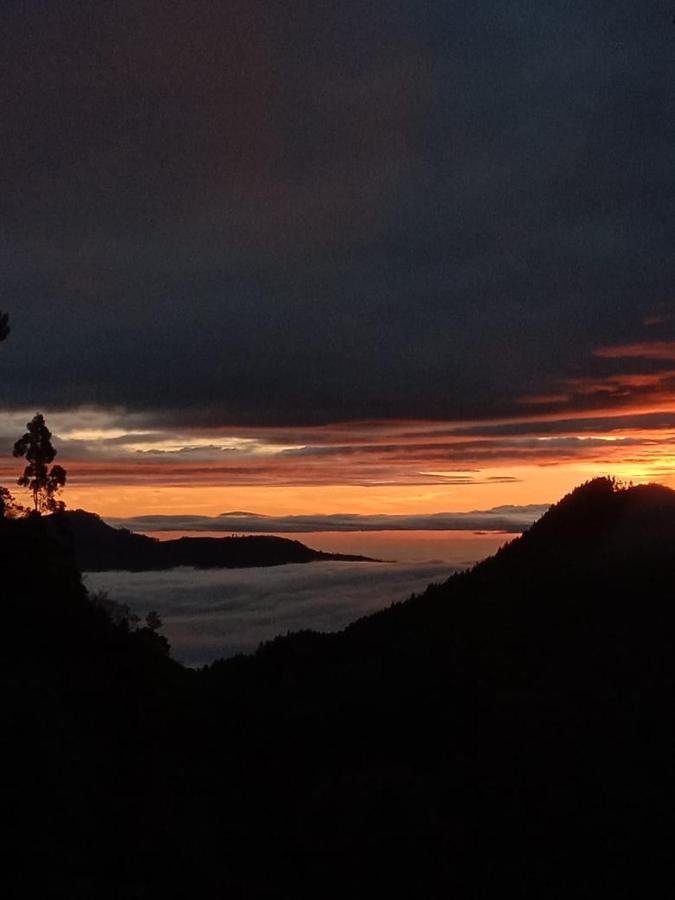 Forest Cyniciam Homestay Ohiya Bagian luar foto