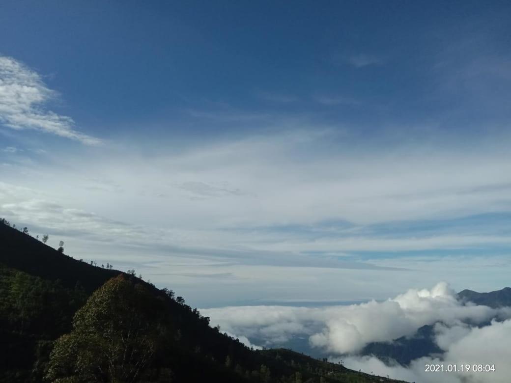 Forest Cyniciam Homestay Ohiya Bagian luar foto