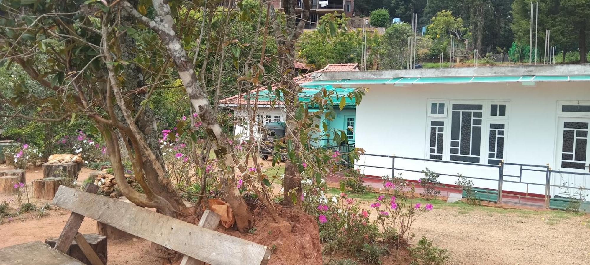 Forest Cyniciam Homestay Ohiya Bagian luar foto