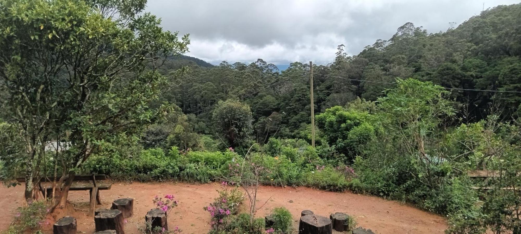 Forest Cyniciam Homestay Ohiya Ruang foto