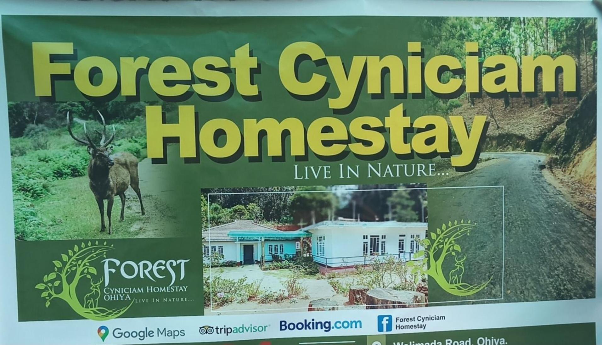 Forest Cyniciam Homestay Ohiya Bagian luar foto