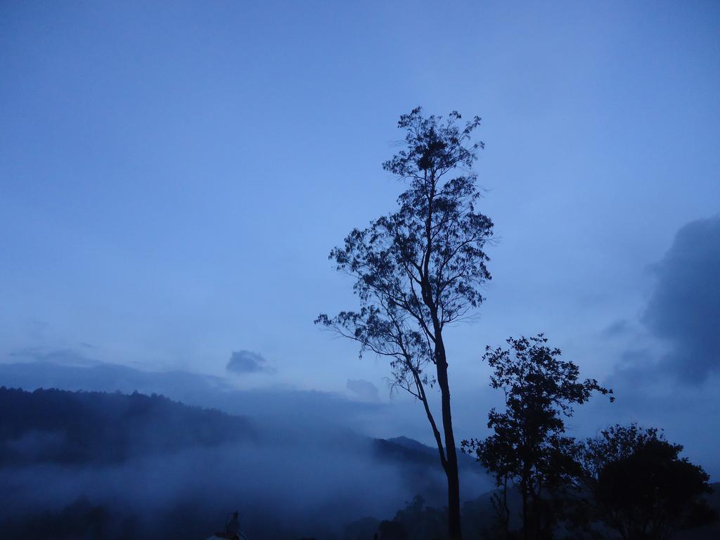 Forest Cyniciam Homestay Ohiya Bagian luar foto