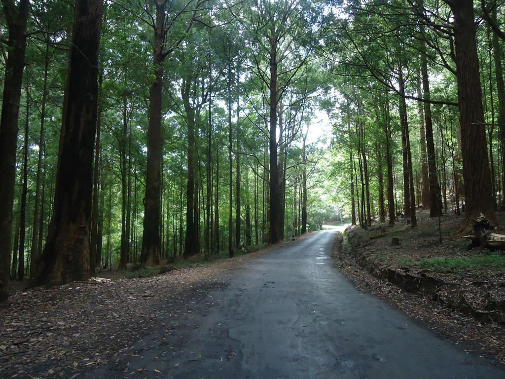 Forest Cyniciam Homestay Ohiya Bagian luar foto