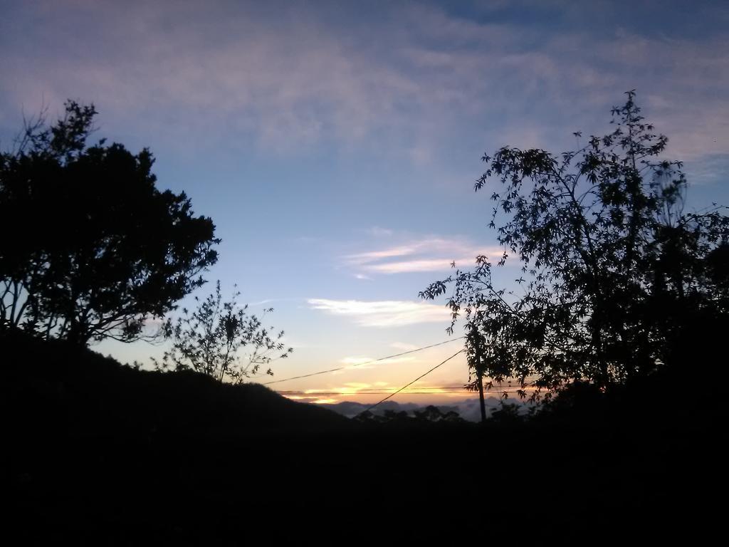 Forest Cyniciam Homestay Ohiya Bagian luar foto