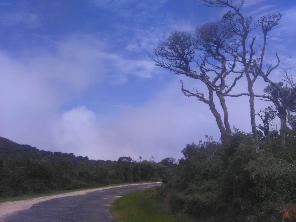 Forest Cyniciam Homestay Ohiya Bagian luar foto