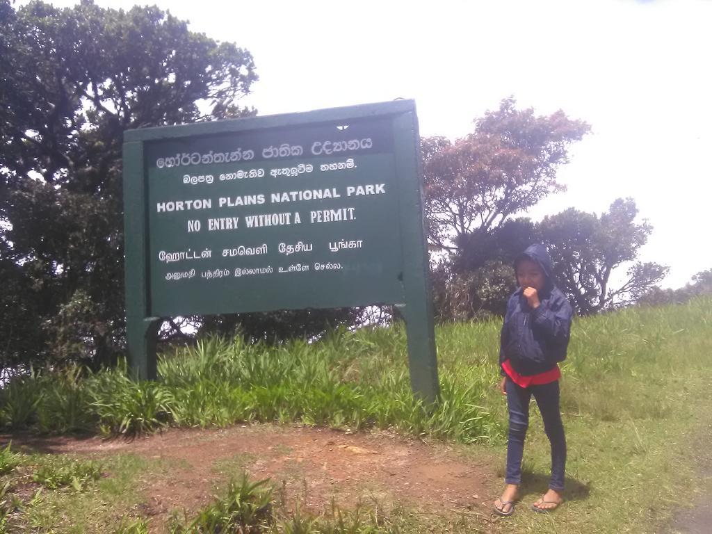 Forest Cyniciam Homestay Ohiya Bagian luar foto
