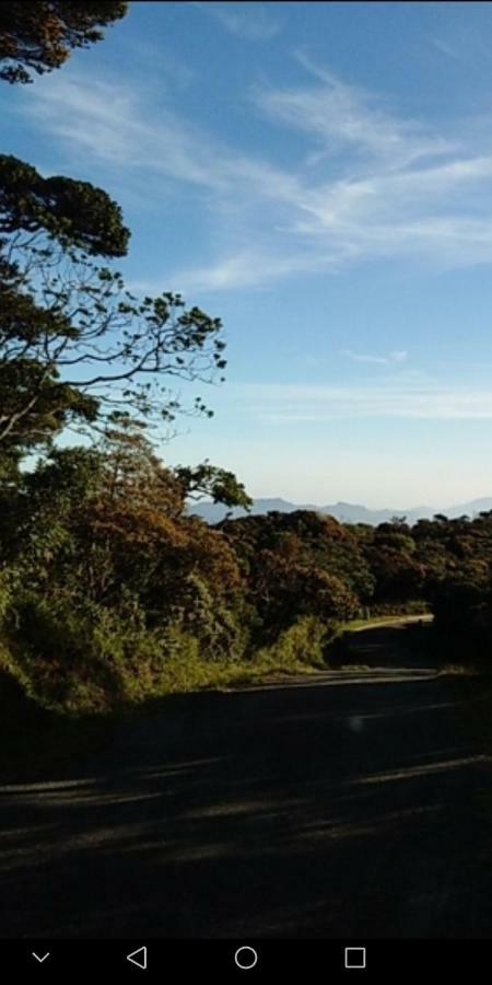 Forest Cyniciam Homestay Ohiya Bagian luar foto