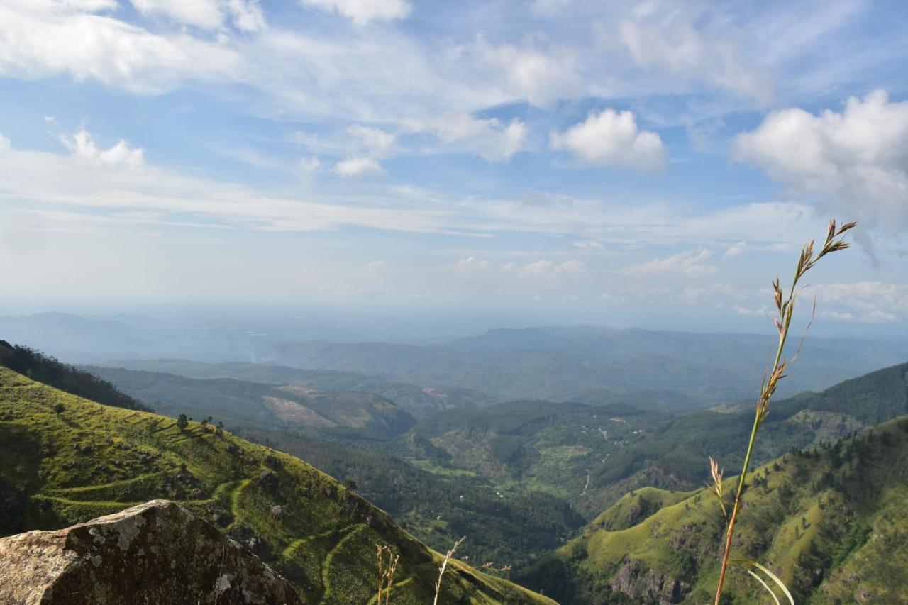 Forest Cyniciam Homestay Ohiya Bagian luar foto